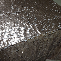 full sequinnet blush