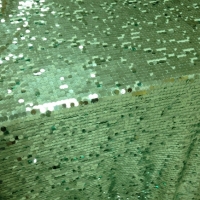 full sequinnet mint
