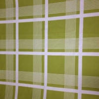 nantucket plaid avocado