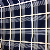 nantucket plaid navy