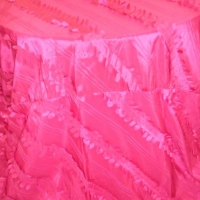 hot-pink-petal