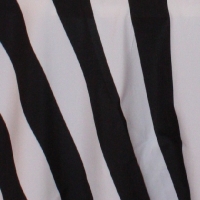 Black and White Stripe