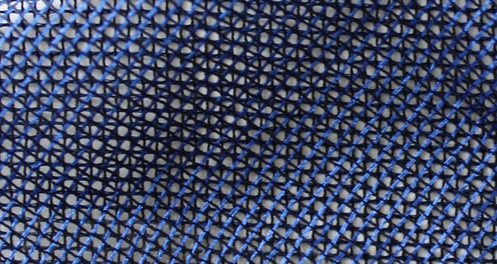 Blue Net