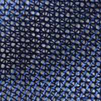Blue Net