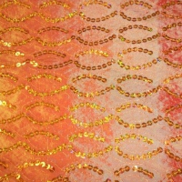 Tangerine Sequin Overlay