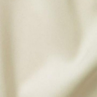 Ivory Solid